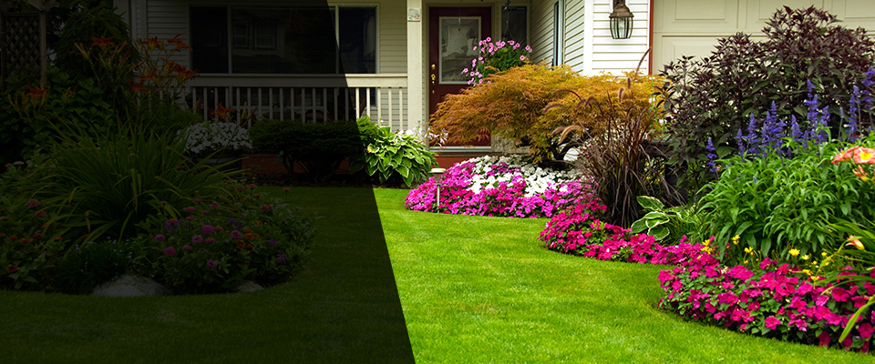 Saratoga Landscapers