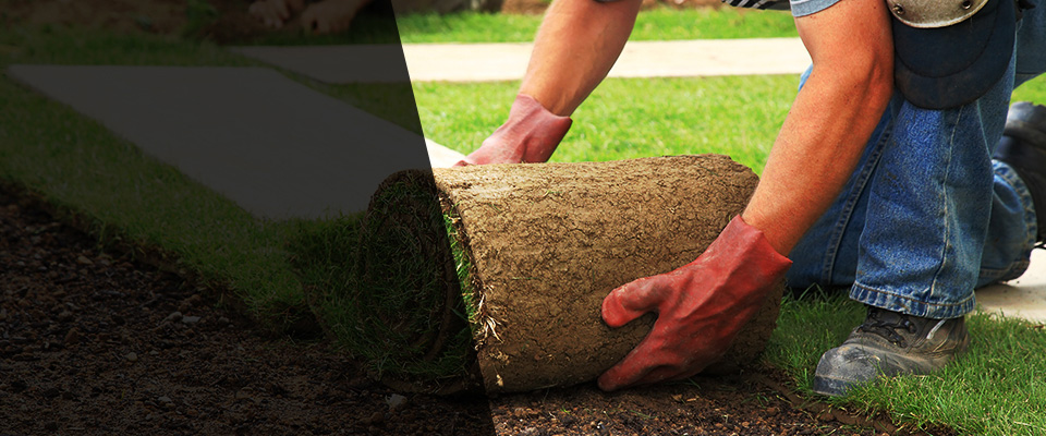 Saratoga Landscapers